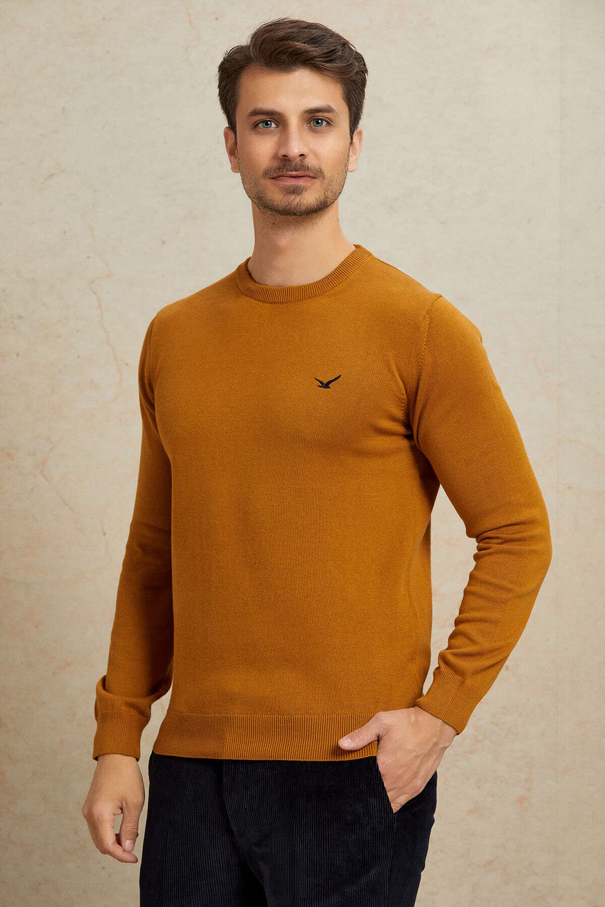 Hardal %100 Pamuk Yuvarlak Yaka Kazak - 5