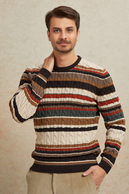 Brown 100% Cotton Round Neck Sweater - 4