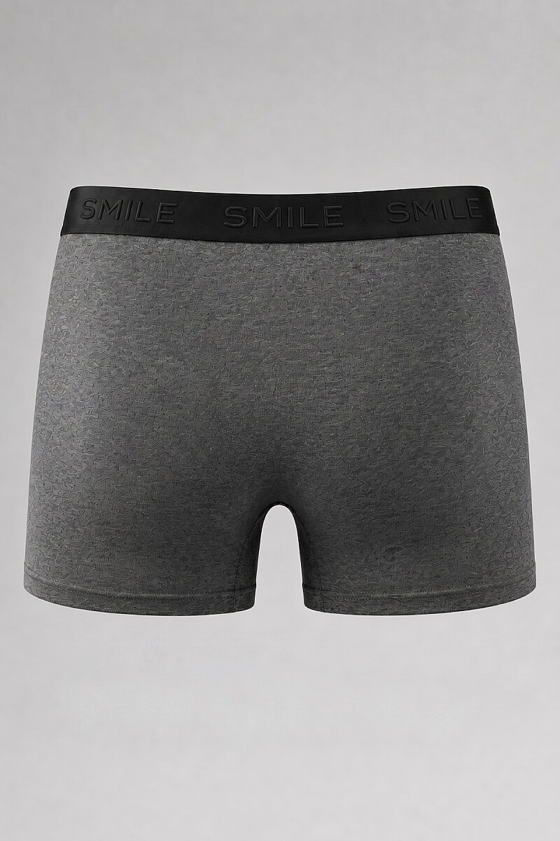 Gri Pamuklu Esnek Dokulu Boxer - 2